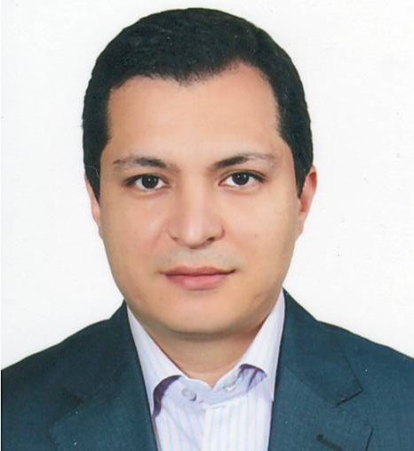 Seyed Hosein Ghafari